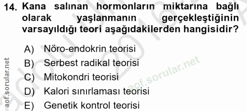 Soru 14