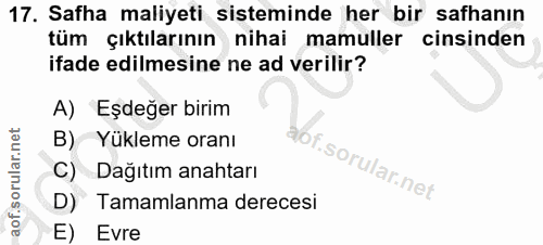 Soru 17