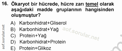 Soru 16