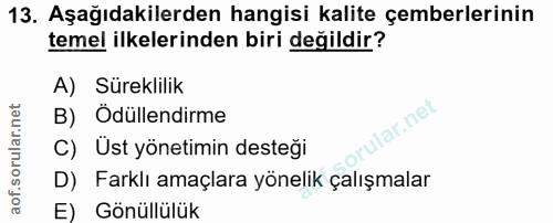 Soru 13