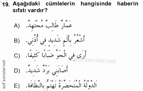 Soru 19