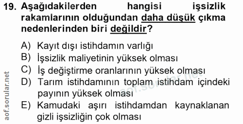 Soru 19