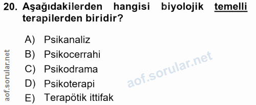 Soru 20