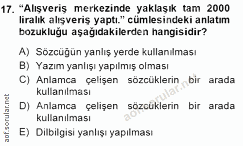 Soru 17
