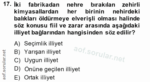 Soru 17