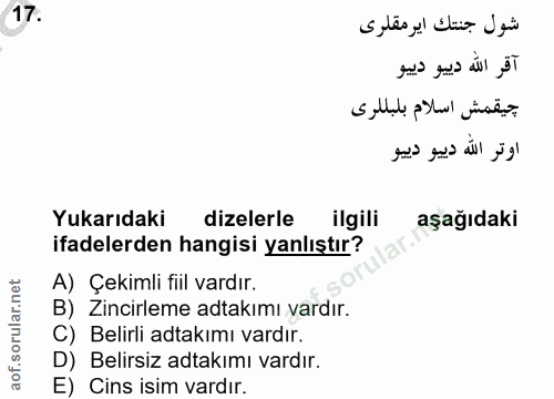 Soru 17