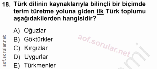 Soru 18