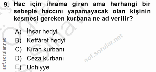 Soru 9