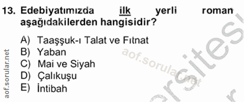Soru 13