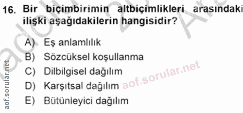 Soru 16