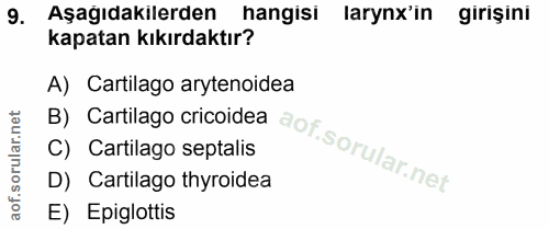 Soru 9