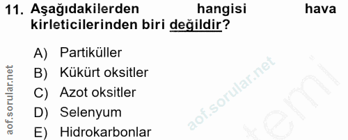 Soru 11