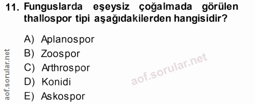 Soru 11