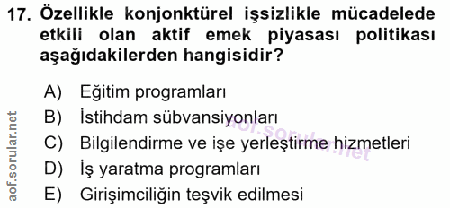 Soru 17