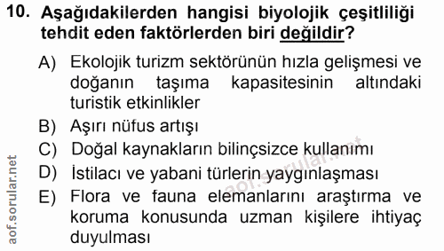 Soru 10