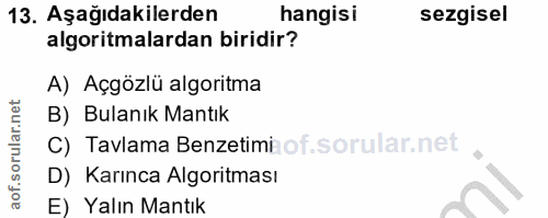 Soru 13