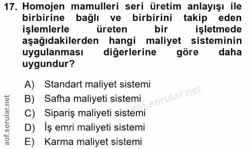 Soru 17