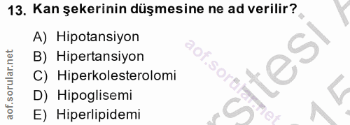 Soru 13