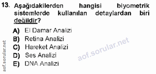 Soru 13