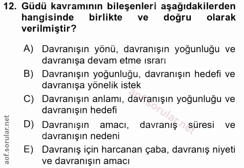 Soru 12