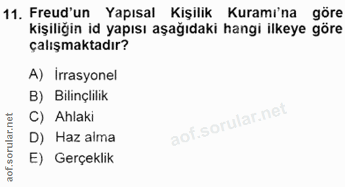 Soru 11