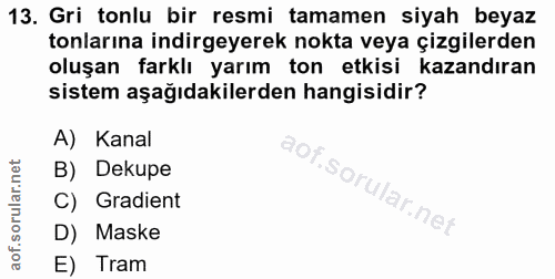 Soru 13