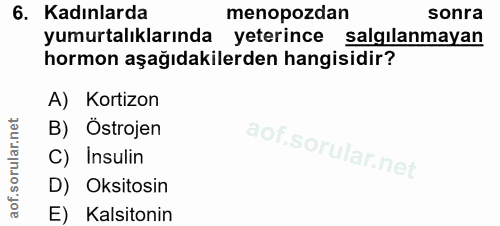 Soru 6