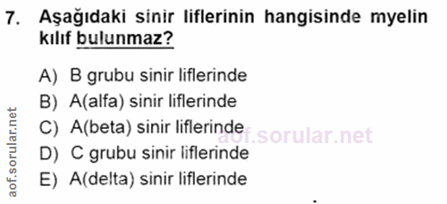 Soru 7