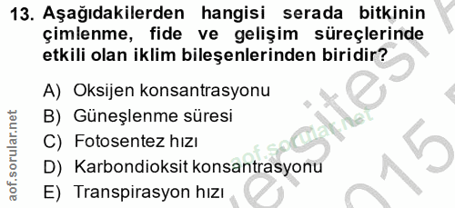Soru 13