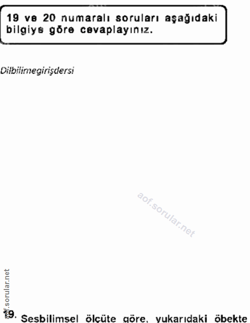 Soru 19