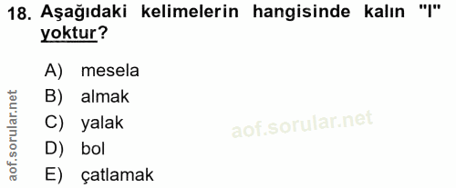 Soru 18