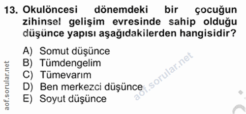 Soru 13
