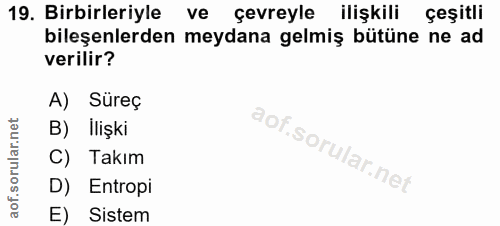 Soru 19