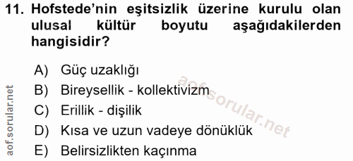 Soru 11