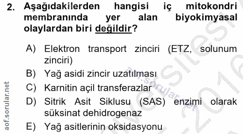 Soru 2