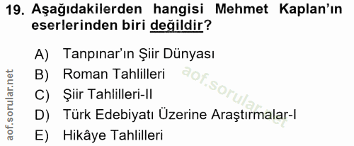 Soru 19