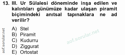 Soru 13