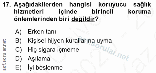 Soru 17