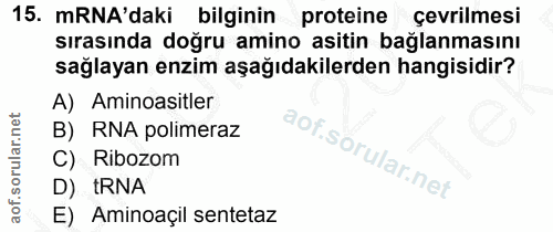 Soru 15
