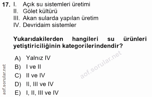 Soru 17