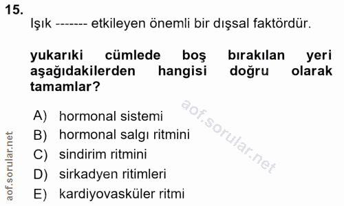 Soru 15