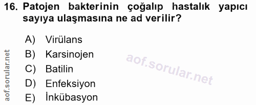 Soru 16