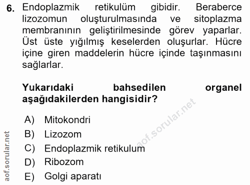 Soru 6