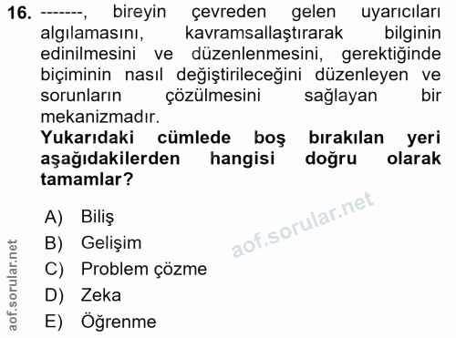 Soru 16