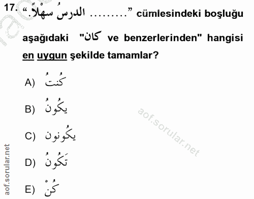 Soru 17