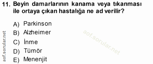 Soru 11