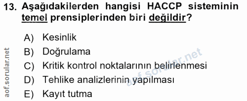 Soru 13