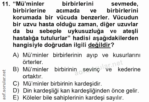 Soru 11