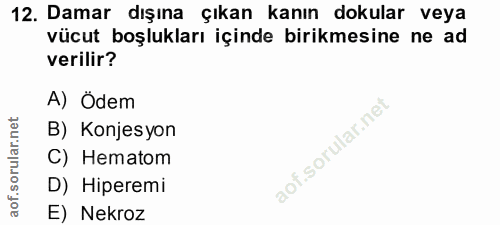 Soru 12