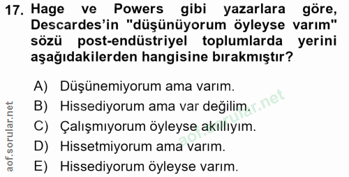 Soru 17
